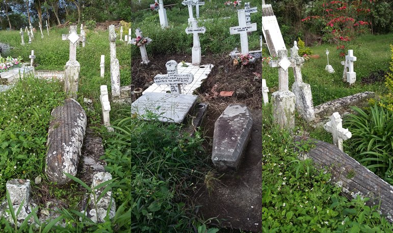 el-cementerio-de-mis-muertos-3