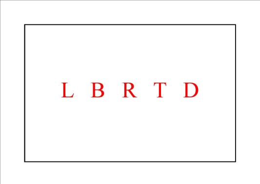 FUGA DE VOCALES (p.v.1) 2013